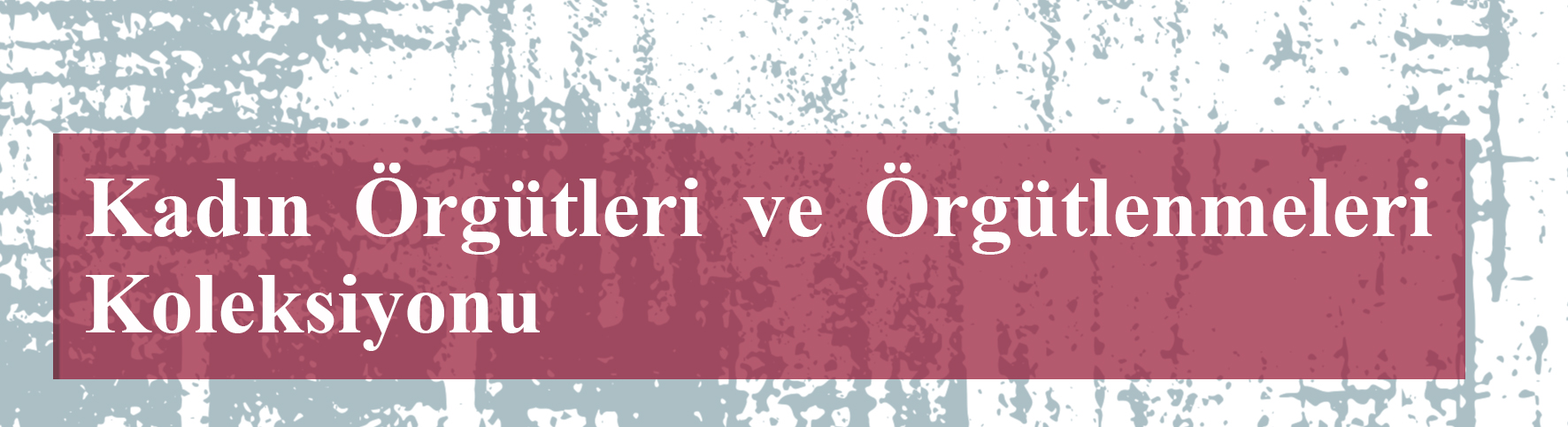 Kadin Orgutleri Ve Orgutlenmeleri Koleksiyonu Kadin Eserleri Kutuphanesi Ve Bilgi Merkezi Vakfi